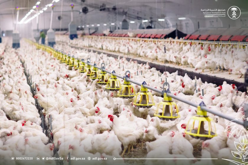 صندوق التنمية الزراعية