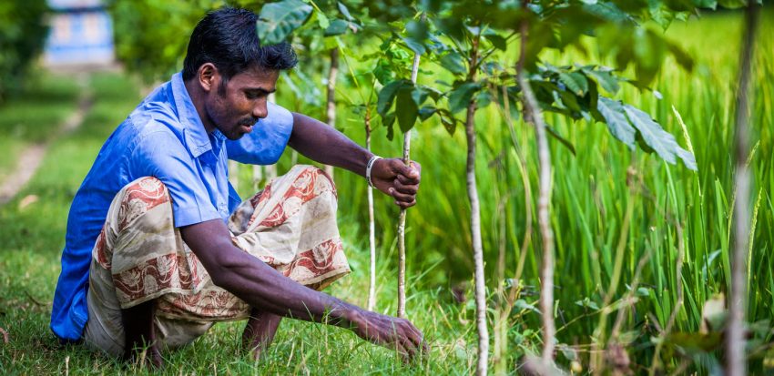 الصندوق الدولي للتنمية الزراعية