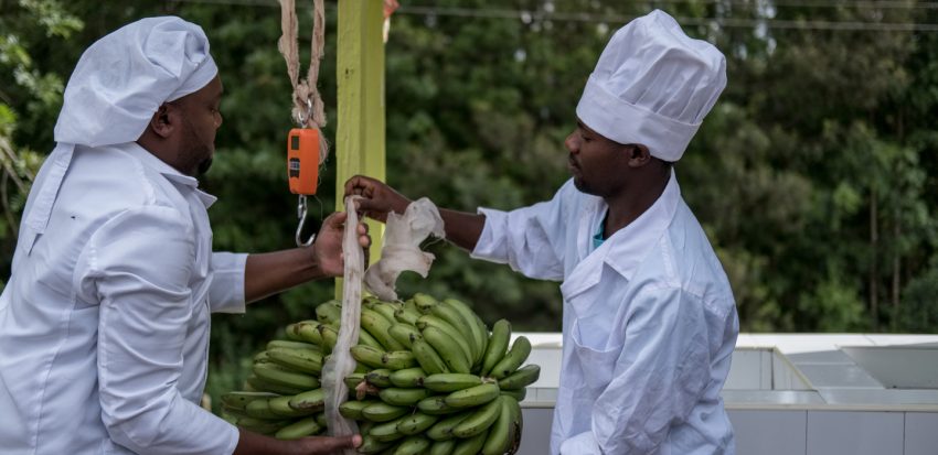 الصندوق الدولي للتنمية الزراعية