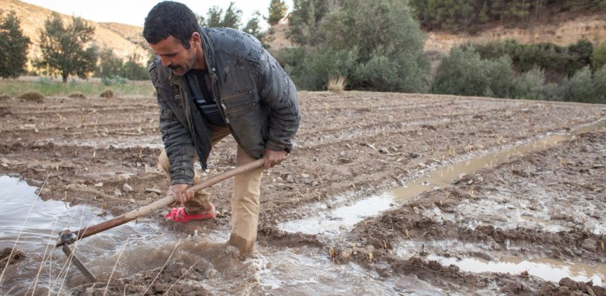 الصندوق الدولي للتنمية الزراعية