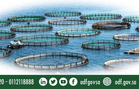 صندوق التنمية الزراعية