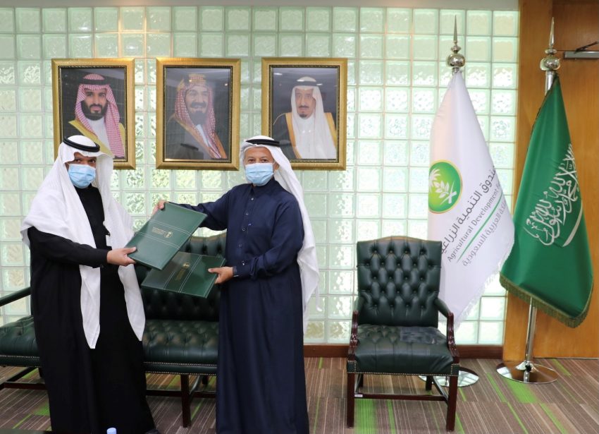 صندوق التنمية الزراعية