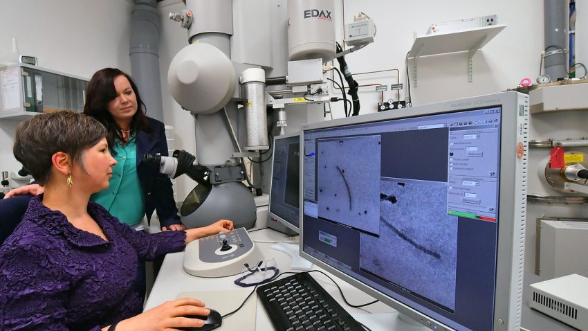 النساء في المراكز القيادية في قطاع العلوم الألماني