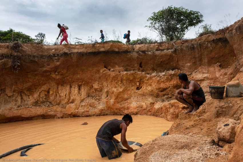 كيف يدمر “استخراج الذهب” غابات الأمازون المطيرة في فنزويلا