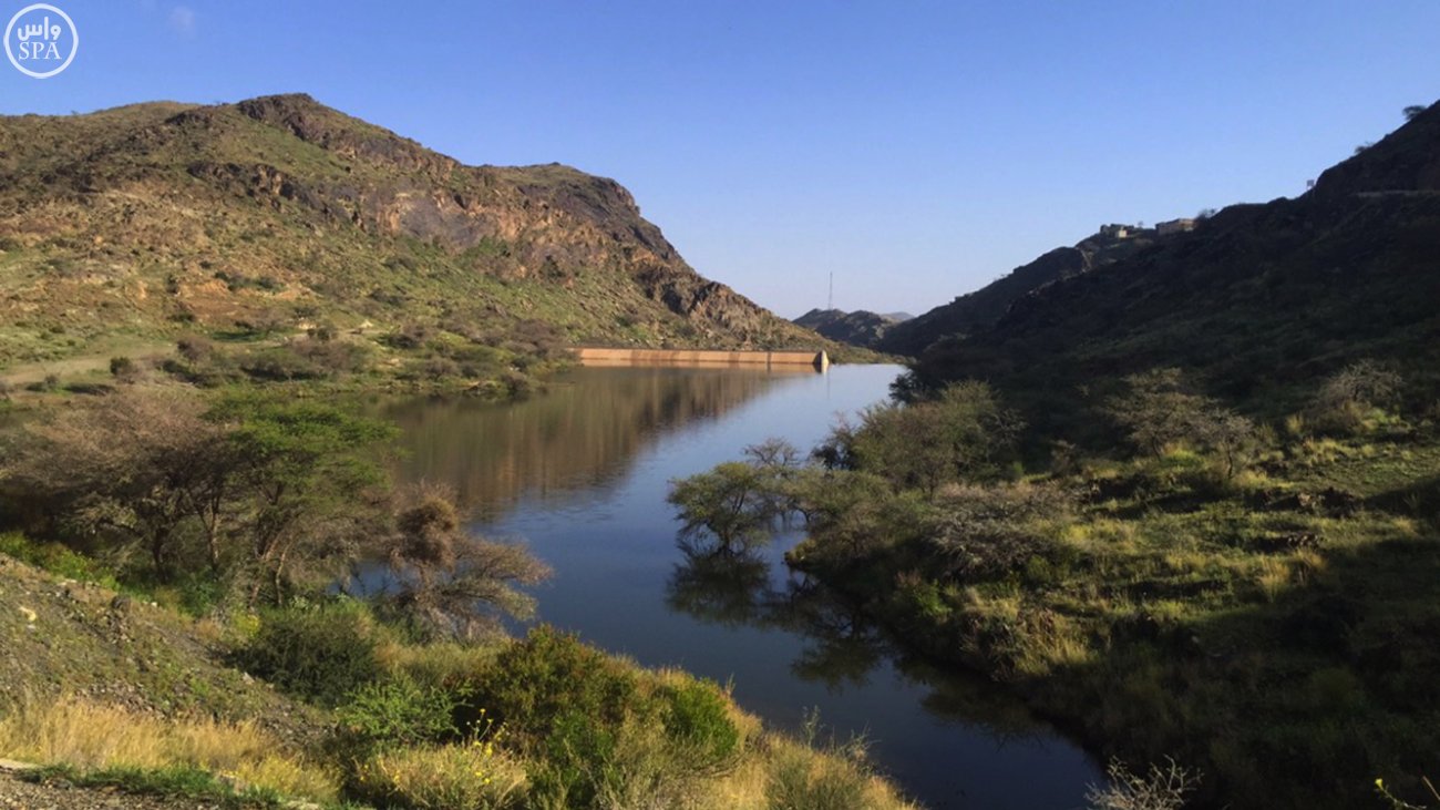 000-3387756601461397267162