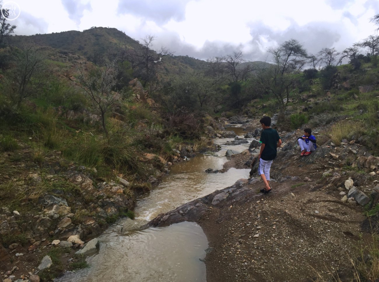 000-579886541461397275258