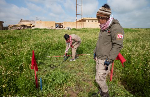 نساء إيزيديات يقمن بإزالة القنابل والألغام التي خلّفها تنظيم داعش