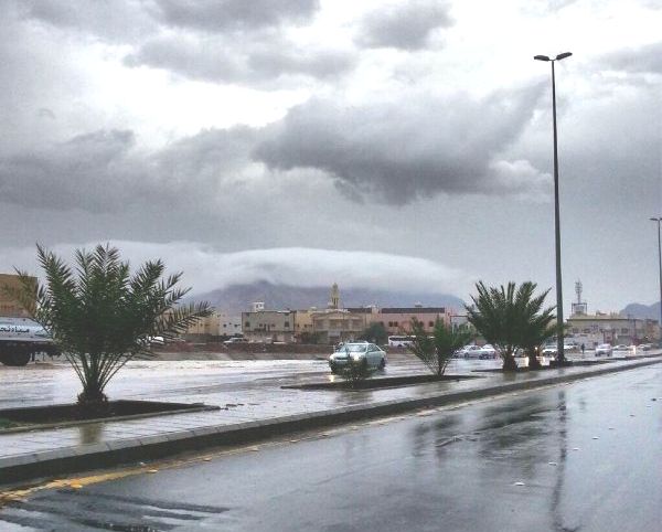 طقس يتراوح بين أمطار رعدية ورياح مثيرة للأتربة