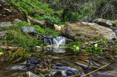 172816_1400319320_6010