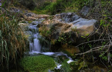 173238_1400518133_5083