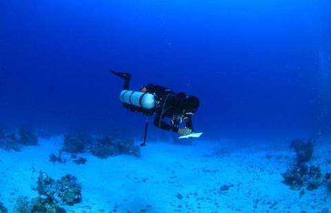 الاتحاد السعودي للرياضات البحرية والغوص