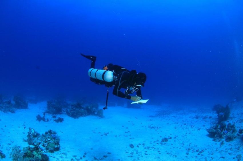 الاتحاد السعودي للرياضات البحرية والغوص