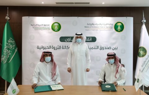 صندوق التنمية الزراعية