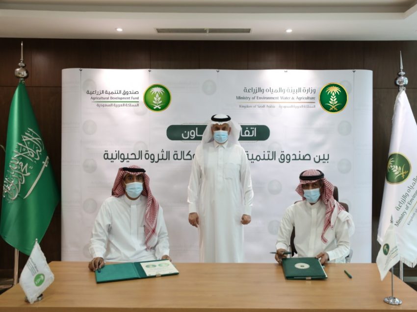 صندوق التنمية الزراعية