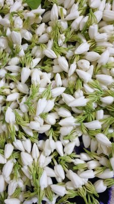 وزارة البيئة والمياه والزراعة