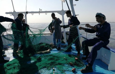 وزارة البيئة والمياه والزراعة