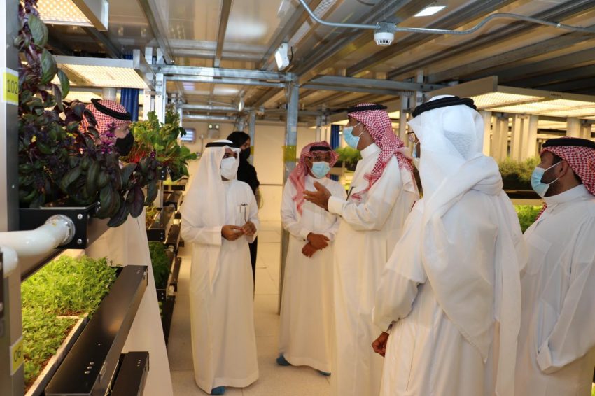 مدير عام صندوق التنمية الزراعية يزور عددا من المشاريع الزراعية في منطقة مكة المكرمة