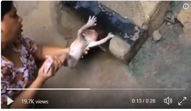 الهندية "غيتا" تنقذ الطفل