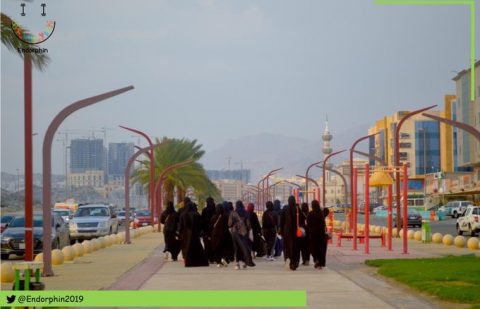 فريق إندورفين