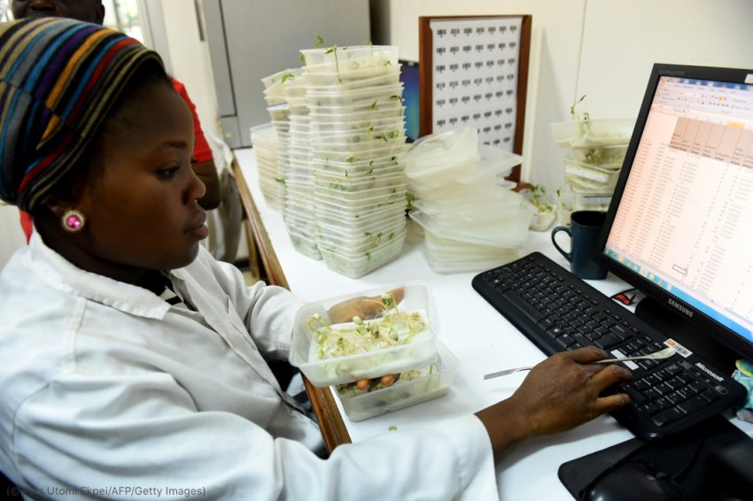 التكنولوجيا الحيوية الزراعية تجعل المزارع أكثر إنتاجية