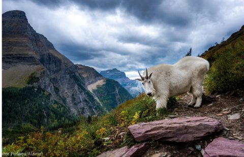 برنامج المتنزهات الشقيقة يربط البلدان حول العالم