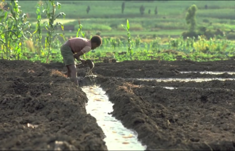 الصندوق الدولي للتنمية الزراعية