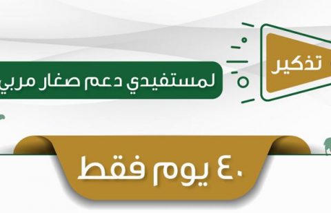 وزارة البيئة والمياه والزراعة