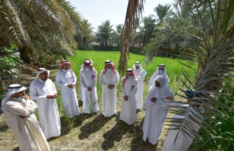 وزارة البيئة والمياه والزراعة