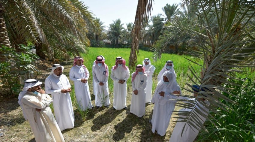 وزارة البيئة والمياه والزراعة