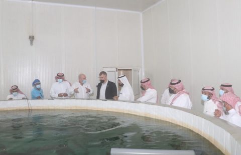 محافظ صندوق التنمية الوطني يزور مشروع "نقوا" في الليث