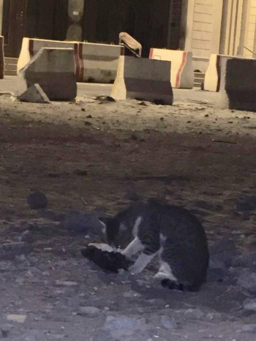 b8bec241-f351-49a7-a159-d914d427ad1e