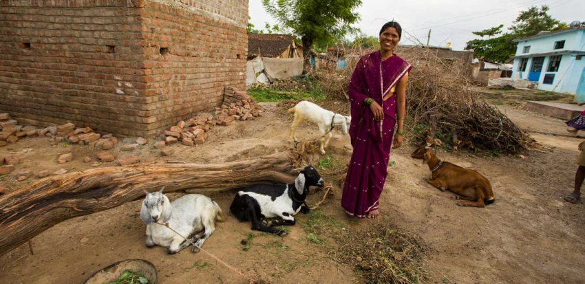 الصندوق الدولي للتنمية الزراعيةالصندوق الدولي للتنمية الزراعية