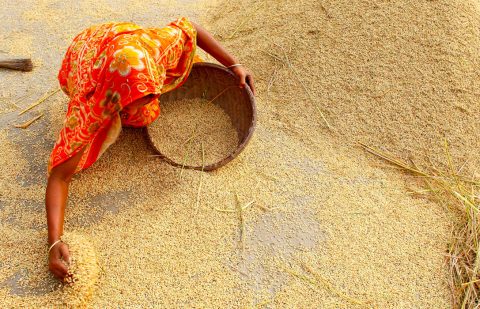 الصندوق الدولي للتنمية الزراعية