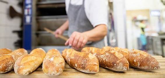 نمو الشركات العائلية الألمانية