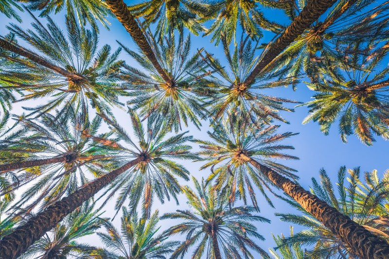 الهيئة الملكية لمحافظة العلا