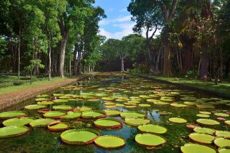 جمال الطبيعة في لؤلؤة المحيط الهندي موريوشيوس