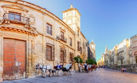 شركة آفياريبس