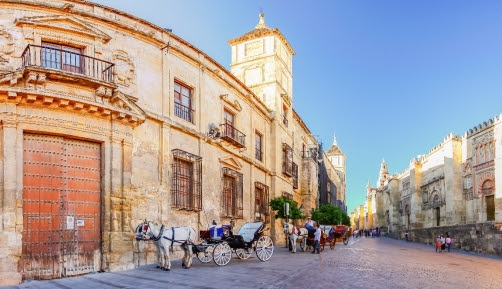 شركة آفياريبس