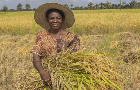 برنامج بقيمة 282 مليون دولار أمريكي يستهدف العمل المناخي والبيئي عبر النظم الزراعية والغذائية في 32 بلدًا