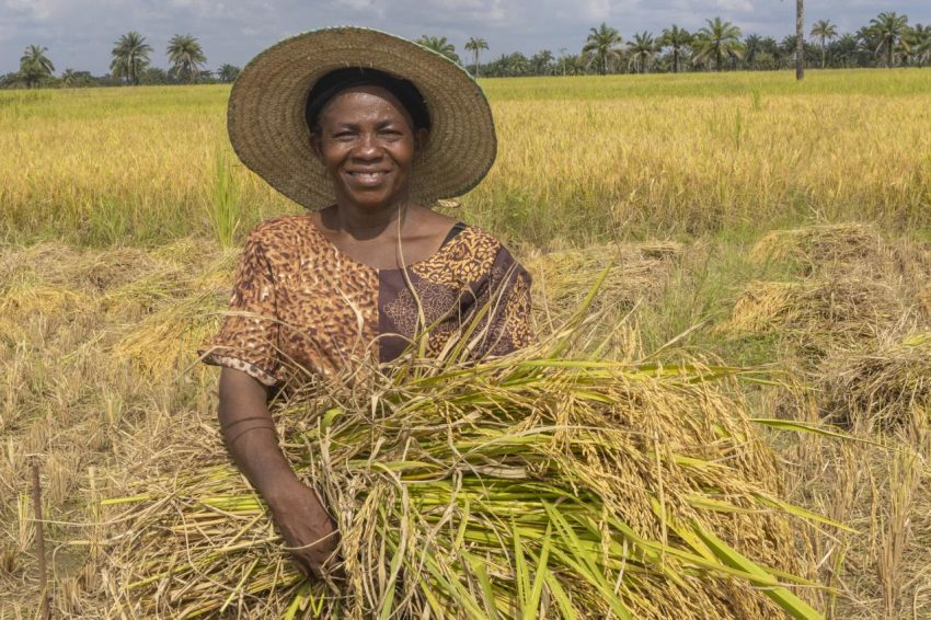 برنامج بقيمة 282 مليون دولار أمريكي يستهدف العمل المناخي والبيئي عبر النظم الزراعية والغذائية في 32 بلدًا