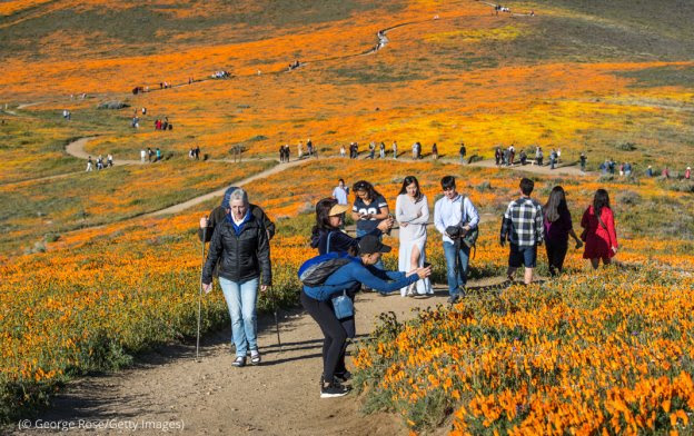 أفضل ثلاث ولايات أميركية تجتذب السياح الدوليين‎