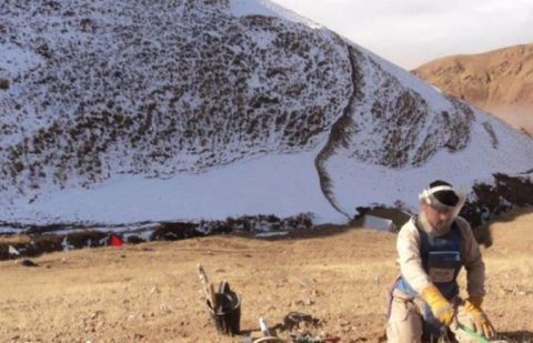 إزالة الألغام لأغراض إنسانية.. تكريس الجهد لمكافحة الألغام والذخائر العنقودية في جميع أنحاء العالم