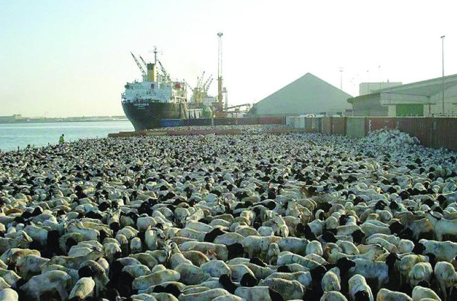 وزارة البيئة والمياه والزراعة