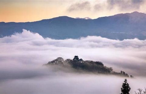 الخريف في اليابان الطعام والفنون والجمال