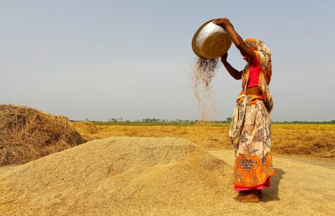 الصندوق الدولي للتنمية الزراعية