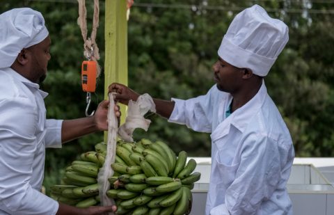 الصندوق الدولي للتنمية الزراعية