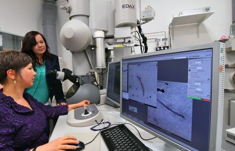 النساء في المراكز القيادية في قطاع العلوم الألماني