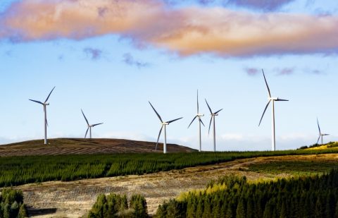 الوكالة الدولية للطاقة المتجددة