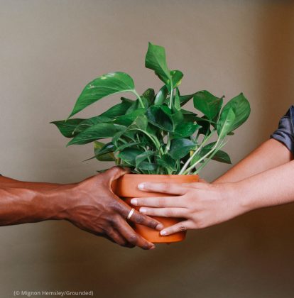 متجر غراوندد