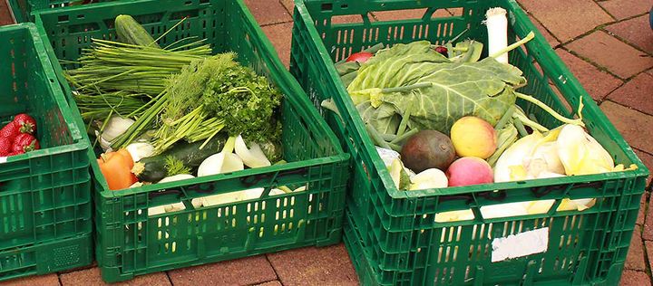 تشاركية الطعام عبر الإنترنت: شركات صغيرة تقدم سلات غذائية مجانية تضم الأطعمة الفائضة عن الحاجة